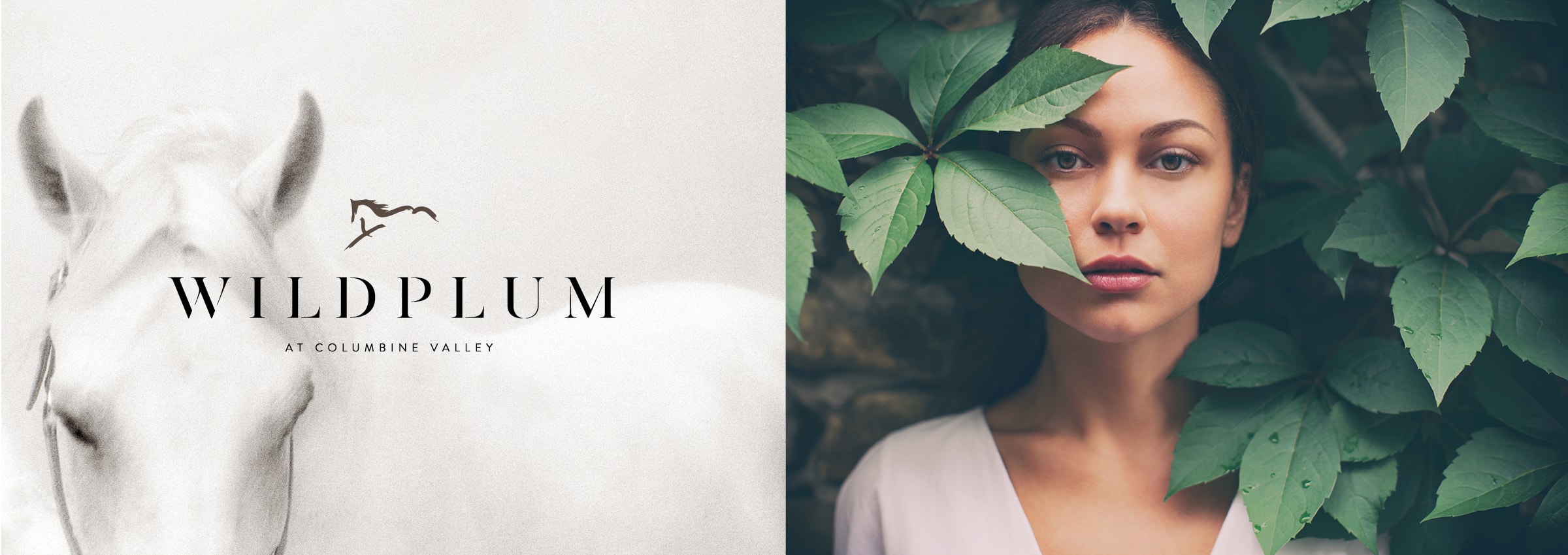 Wild Plum