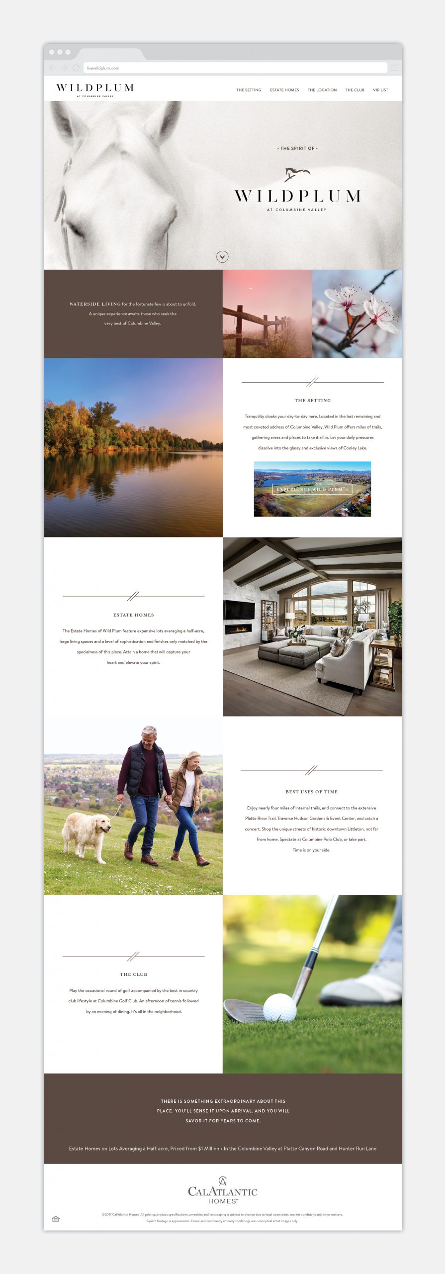 Wild Plum - Website
