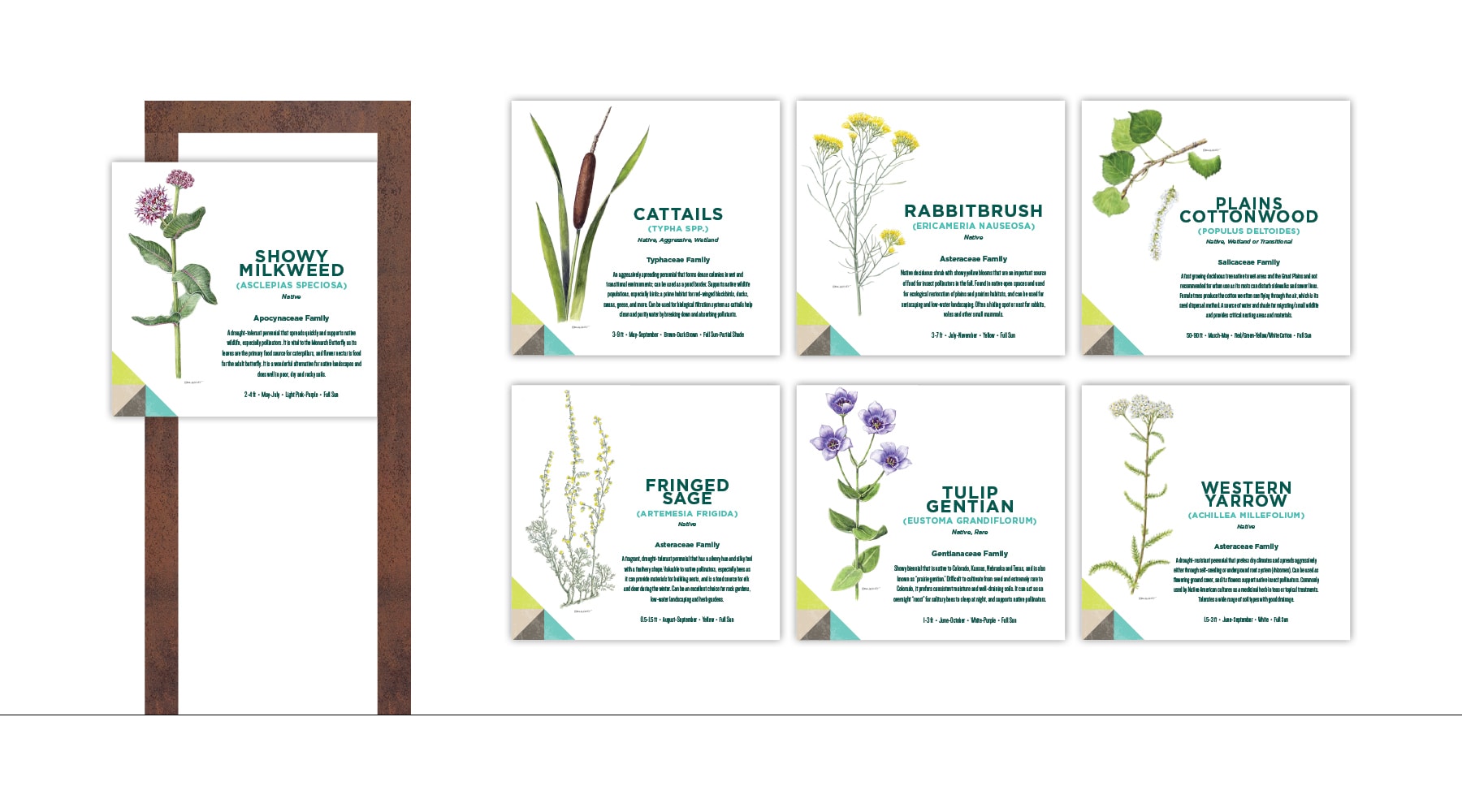Barefoot Lakes - Website