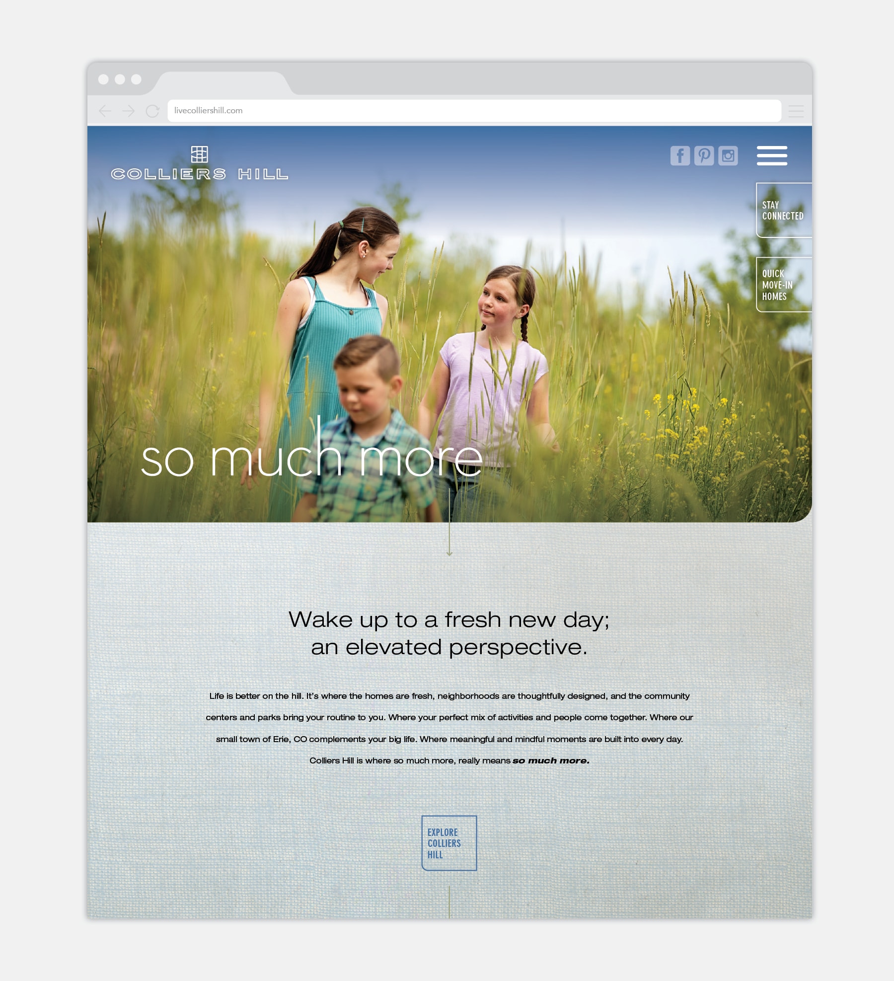 Colliers Hill - Website