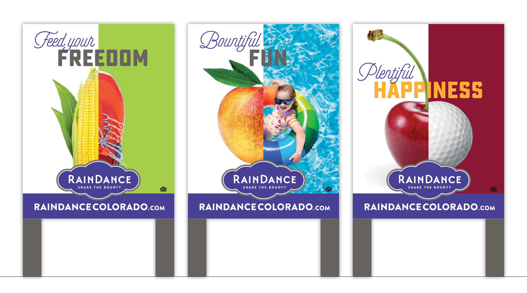 RainDance - Website