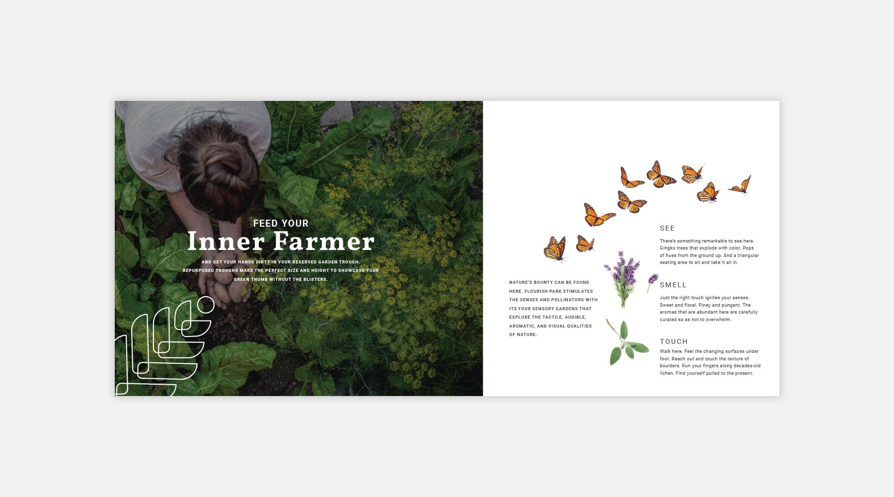 Sonders Brochure