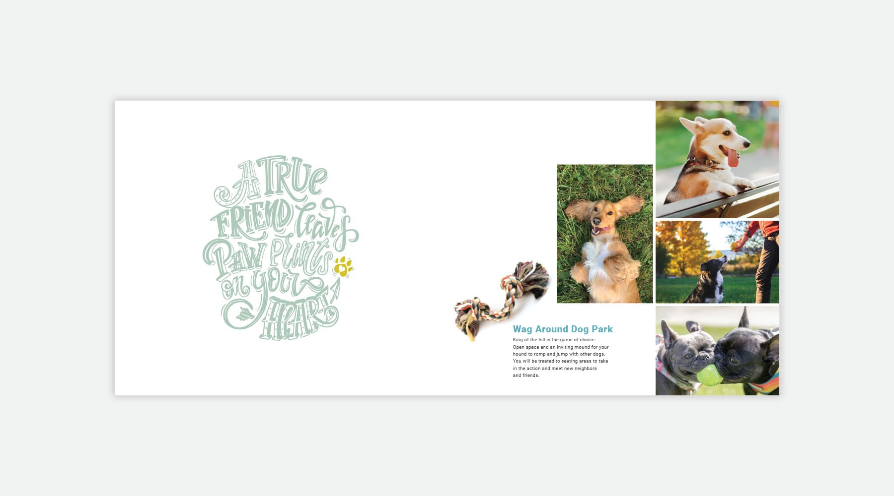 Sonders Brochure
