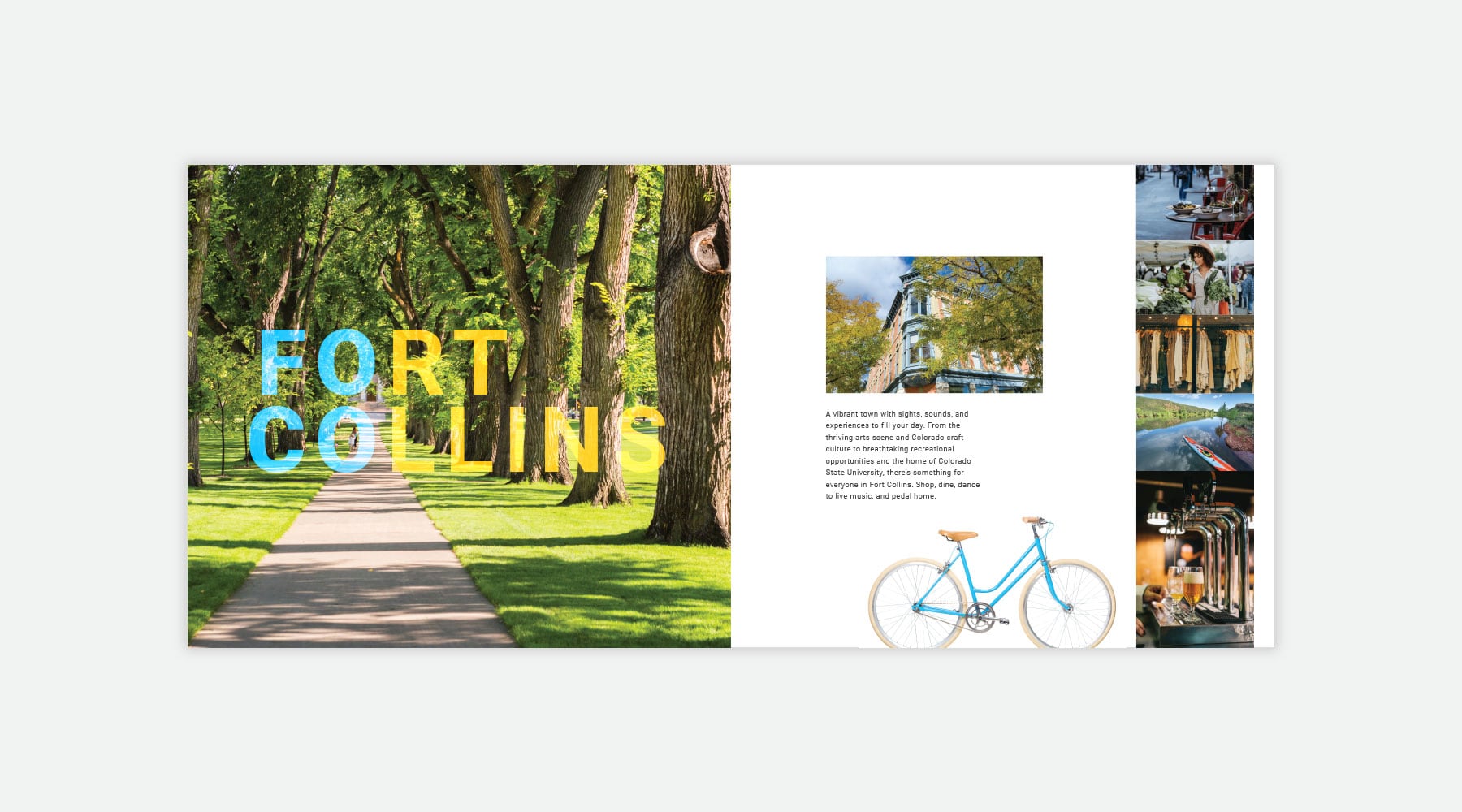 Sonders Brochure
