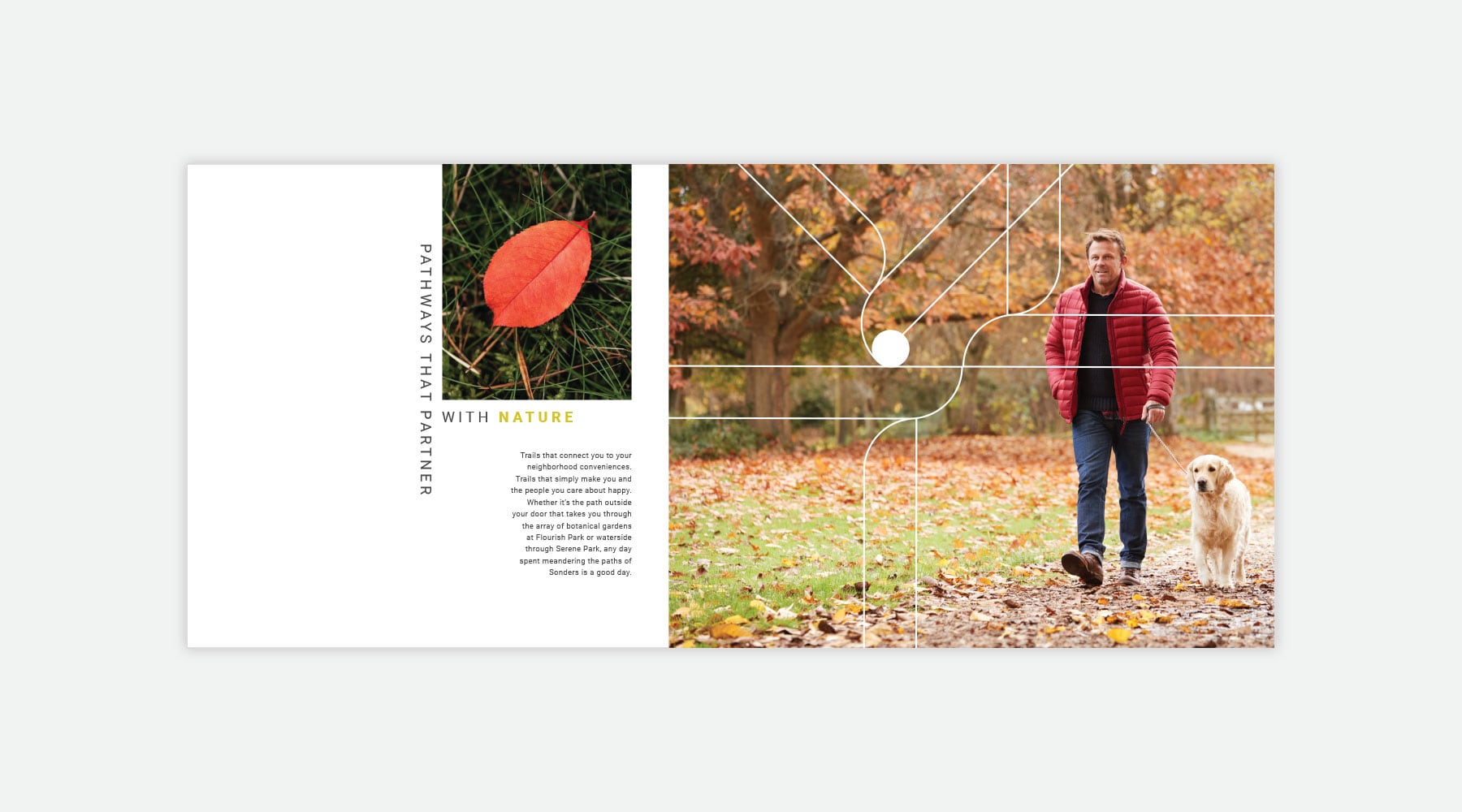 Sonders Brochure