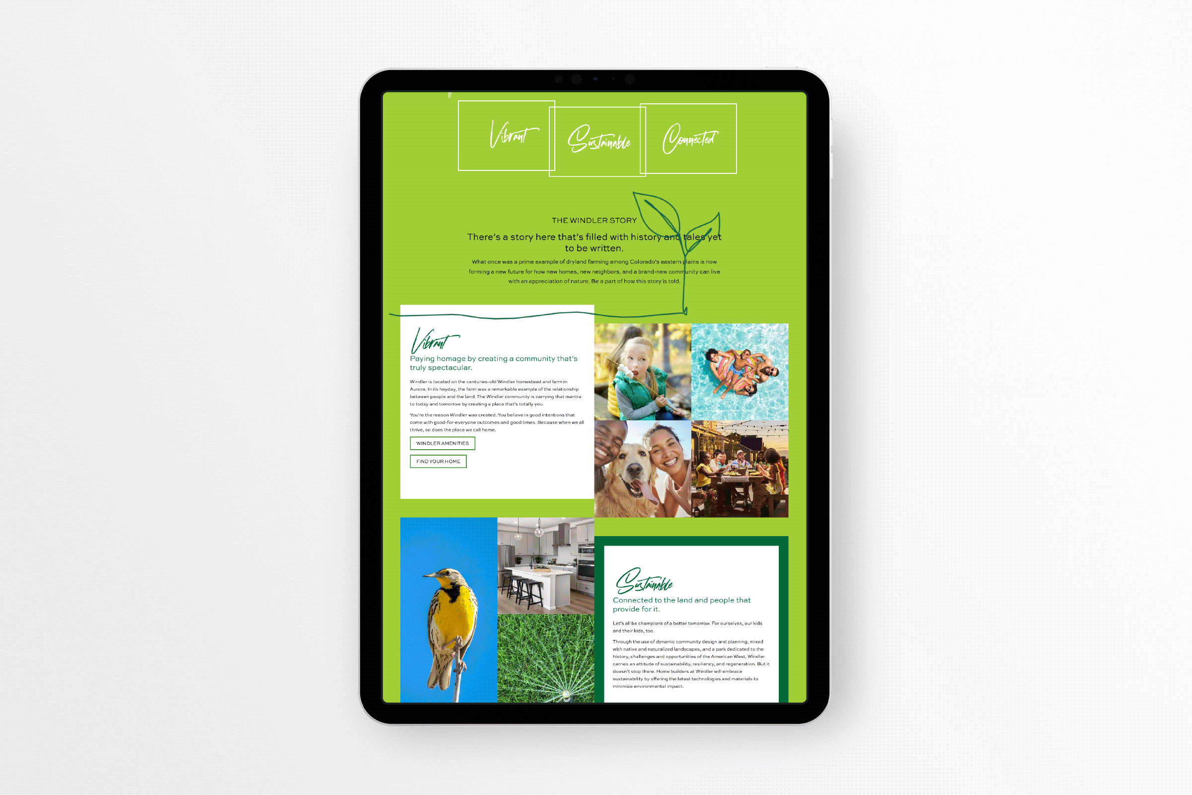 Windler - Website
